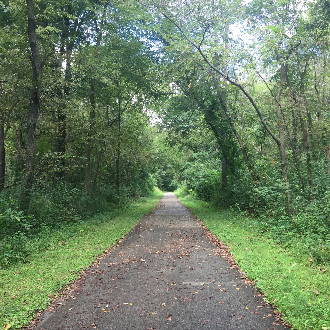Walking in Nature discovering what lies ahead Web of Pen