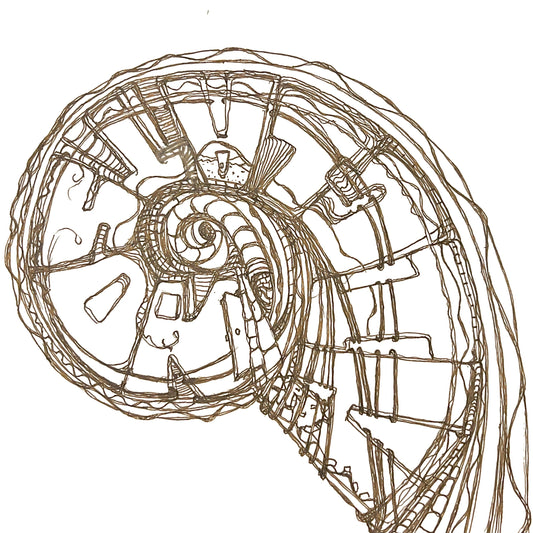 Nostalgia is a Door I like to keep Shut by Web of Pen. Image is a nautilus shell with the word Nostalgia written backwards from the center. Artwork by Penelope Wrenn