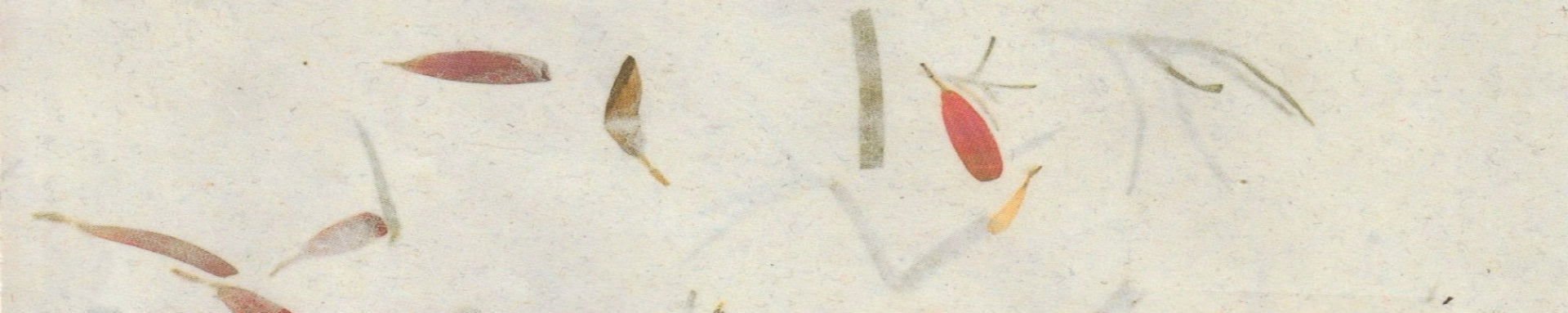 Small dried leaves scattered on a light sandy surface